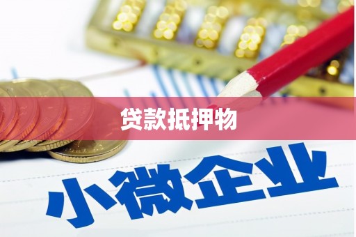 新洲贷款抵押物