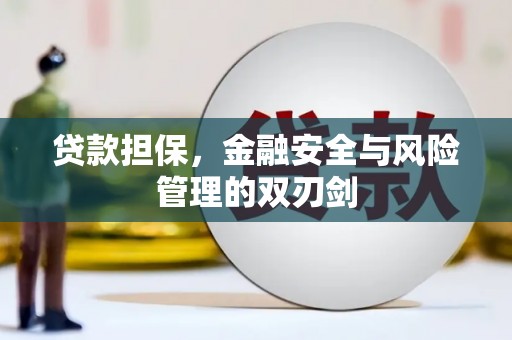兴国贷款担保，金融安全与风险管理的双刃剑