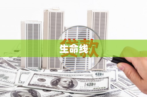 阜南生命线