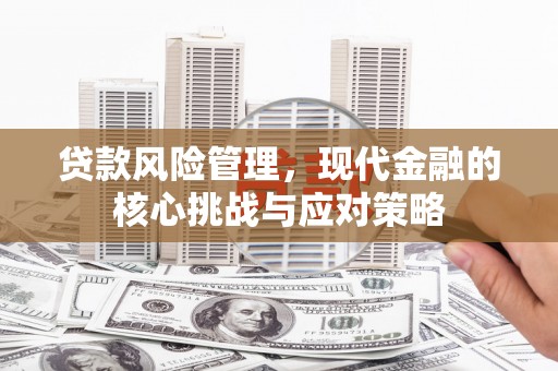 和硕贷款风险管理，现代金融的核心挑战与应对策略