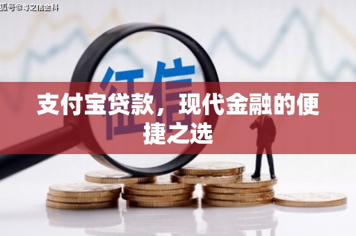 南岸支付宝贷款，现代金融的便捷之选