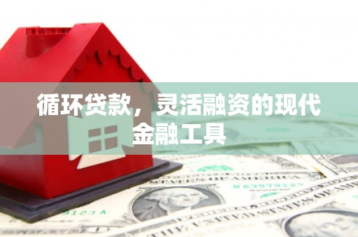 石鼓循环贷款，灵活融资的现代金融工具