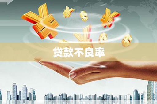富顺贷款不良率