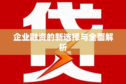 洪雅企业融资的新选择与全面解析