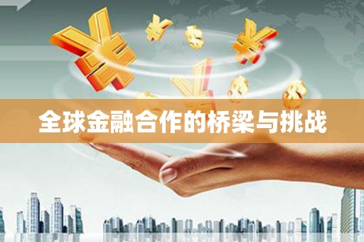 西吉全球金融合作的桥梁与挑战