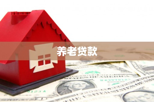 江川养老贷款